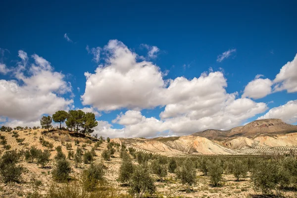 Dealurile Andaluziei — Fotografie, imagine de stoc