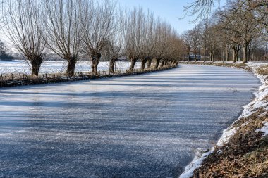 Donmuş bir nehrin kenarındaki ağaçlar güneşli bir gökyüzünün altında
