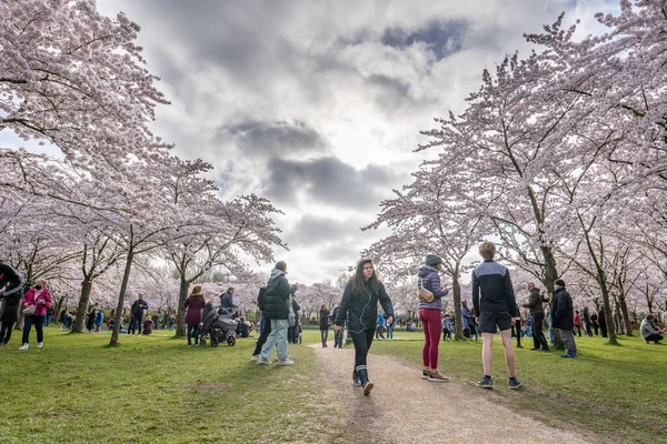 Ámsterdam Países Bajos Abril 2021 Los Visitantes Del Bosque Ámsterdam Fotos De Stock Sin Royalties Gratis