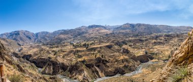 Colca valley, Peru clipart