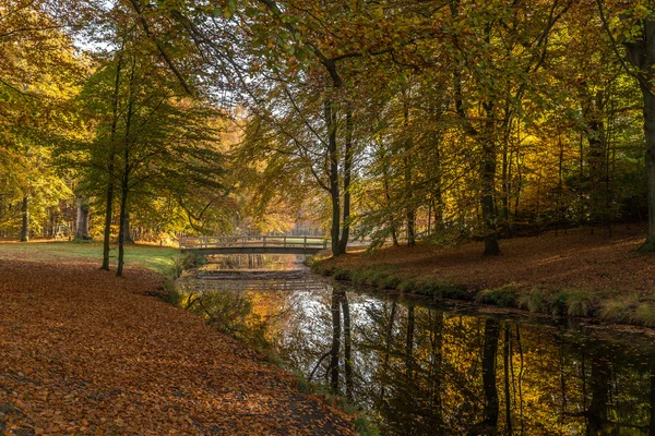 Parkta sonbahar — Stok fotoğraf