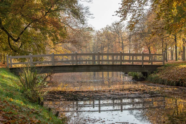 Brücke im Park — Stockfoto