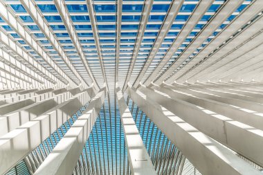 İstasyonu Guillemins çatısı