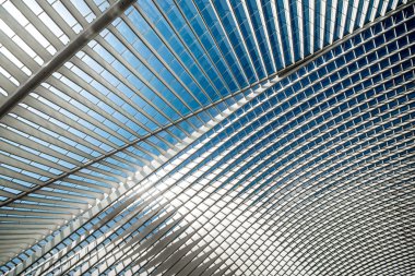 İstasyonu Guillemins çatısı