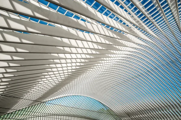 Telhado da estação Guillemins — Fotografia de Stock