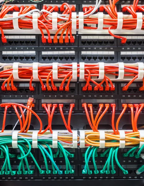 Nahaufnahme von roten und grünen Netzwerkkabeln, die mit einem Switch verbunden sind — Stockfoto