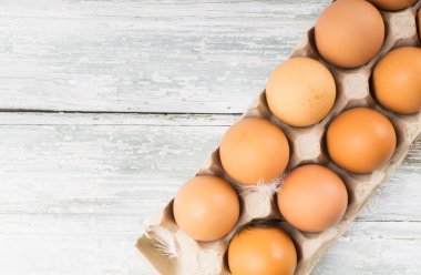 tavuk yumurta kutusu