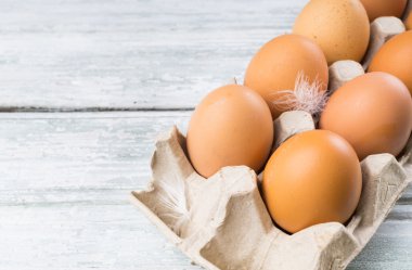 tavuk yumurta kutusu