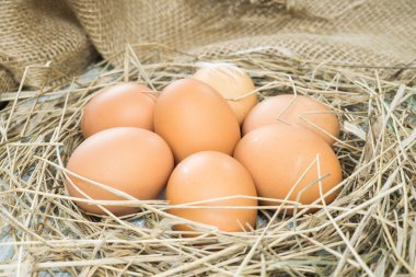 Saman kahverengi yumurta