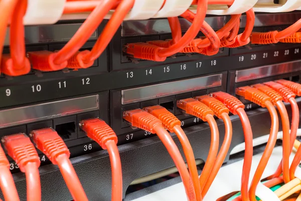 Primer plano de los cables de red rojos conectados al conmutador — Foto de Stock