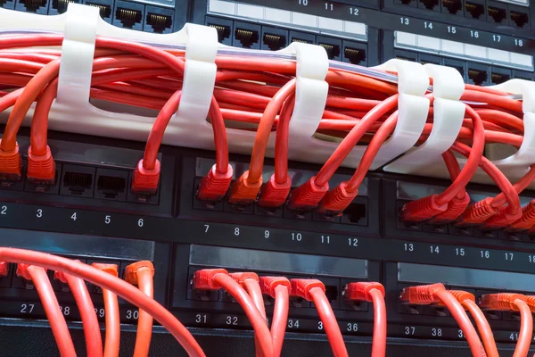 Close up of red network cables connected to switch — Stock Photo, Image