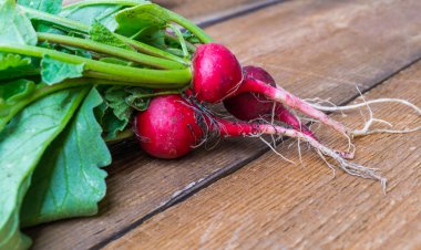 Ahşap arka planda taze turp