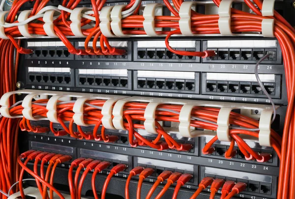Rows of network cables connected to router and switch hub — Stock Photo, Image