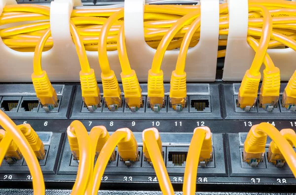 Close up of yellow network cables connected to switch — Stock Photo, Image