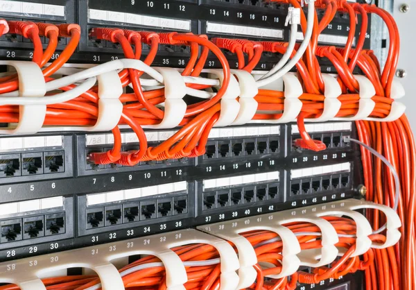 Rows of network cables connected to router and switch hub — Stock Photo, Image