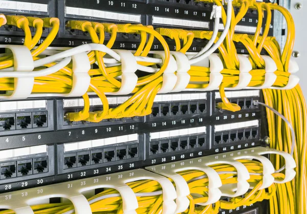 스위치에 연결 된 노란색 네트워크 케이블의 클로즈업 — 스톡 사진