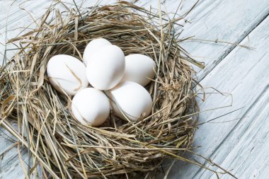 Beyaz tavuk yumurtası saman yuvaya