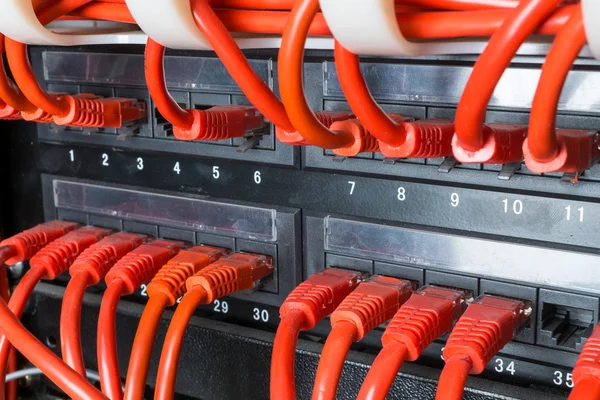 Крупним планом червоні мережеві кабелі, з'єднані для перемикання — стокове фото