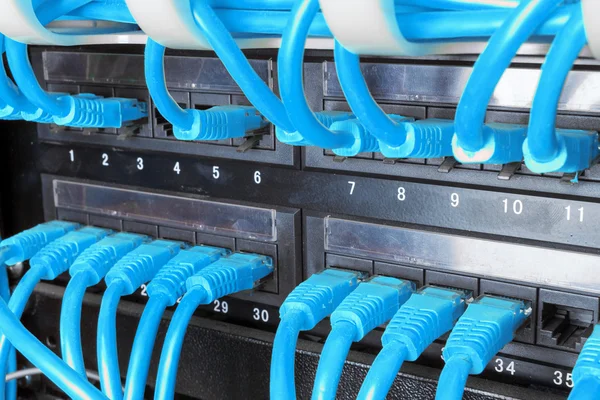 Fechar os cabos de rede azuis conectados ao painel de remendos — Fotografia de Stock