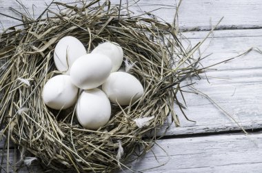 Beyaz tavuk yumurtası saman yuvaya