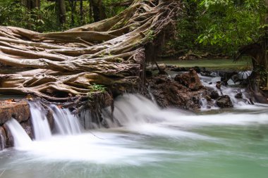 Thanbok Khoranee Milli Parkı Tayland, uzun pozlama vurdu yer düşmüş ağaç cennet şelale