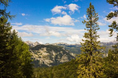 Slovenya, Julian Alps Bohinj Gölü yakınında