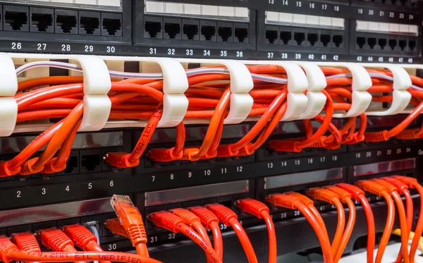 Primer plano de los cables de red rojos conectados al conmutador —  Fotos de Stock