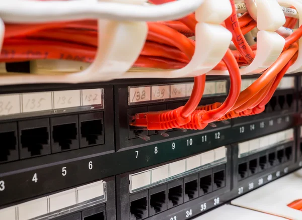 Close up of red network cables connected to switch — Stock Photo, Image