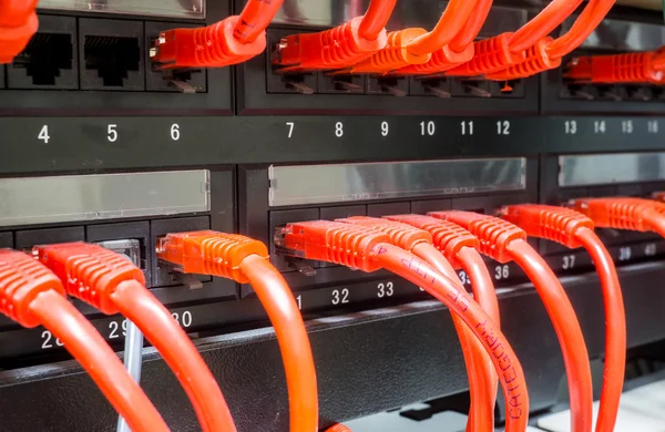 스위치에 연결 된 빨간 네트워크 케이블의 클로즈업 — 스톡 사진