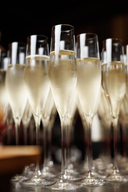 Uzun bardaklarda servis edilen köpüklü içeceklerden oluşan bir kolleksiyonda zevk. Kutlamalar için mükemmel. Bu içkiler, arkadaşlarla eğlenceli bir etkinlikte neşeli bir atmosfere neşe katar..