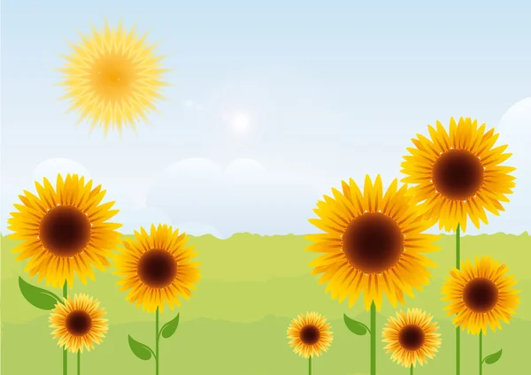 Pemandangan musim panas dengan vektor bunga matahari - Stok Vektor