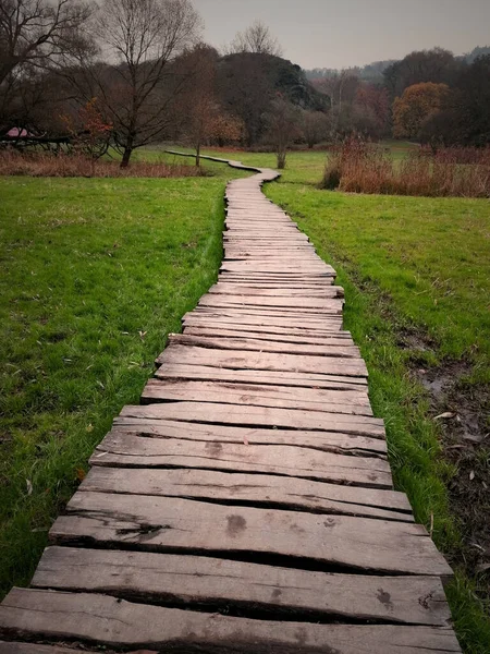 A wooden walkway in park stock images. Wooden sidewalk in nature stock photo. Autumn nature with wooden path images