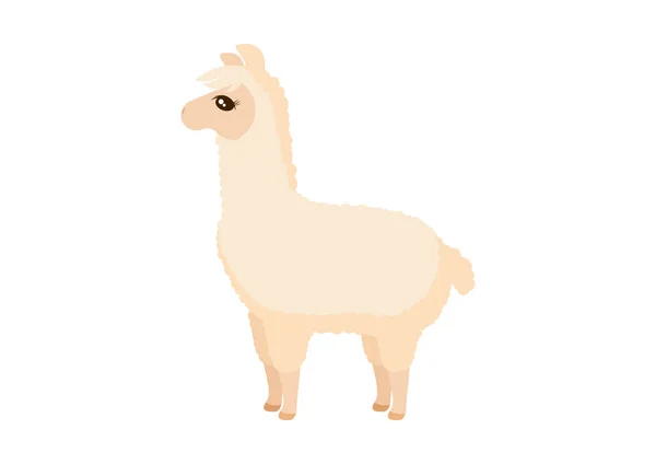 Netter Hellbrauner Lama Symbolvektor Entzückende Baby Lama Zeichentrickfigur Lama Symbol — Stockvektor