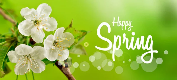 Happy Spring Kartka Życzeniami Białym Kwiatem Wiśni Kwiaty Zdjęcia Wiosna — Zdjęcie stockowe