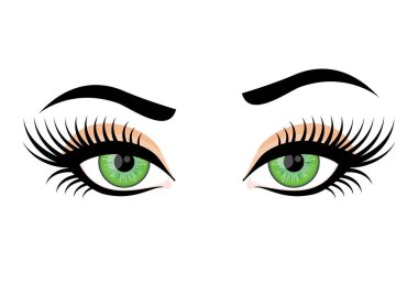 Sensual female eyes icon vector. Beautiful green female eyes icon vector. Attractive female eyes with long lashes clip art clipart