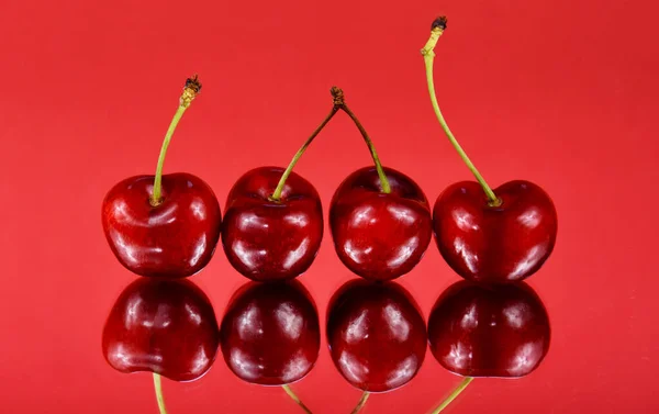 Frische Rote Kirschen Einer Reihe Auf Rotem Hintergrund Süße Kirschfrüchte — Stockfoto