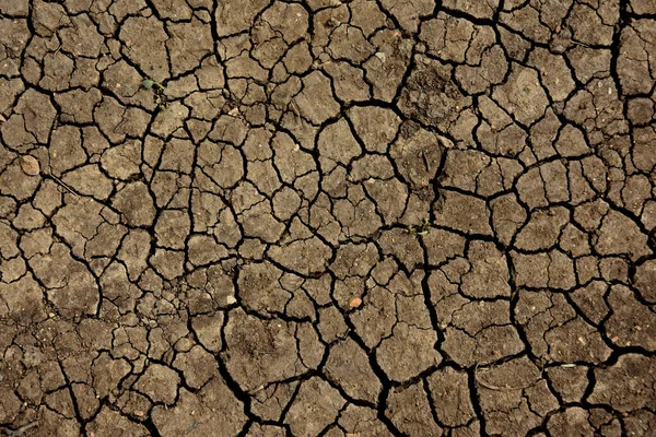 Dry Ground Texture Top View Stock Images Cracked Dry Ground — Stock Photo, Image