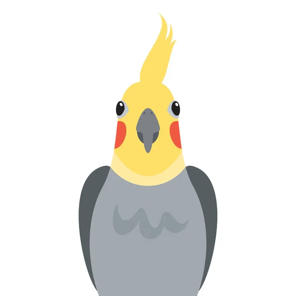 Roztomilý Kohout Papoušek Přední Pohled Ikony Vektor Legrační Kohoutí Papoušek — Stockový vektor
