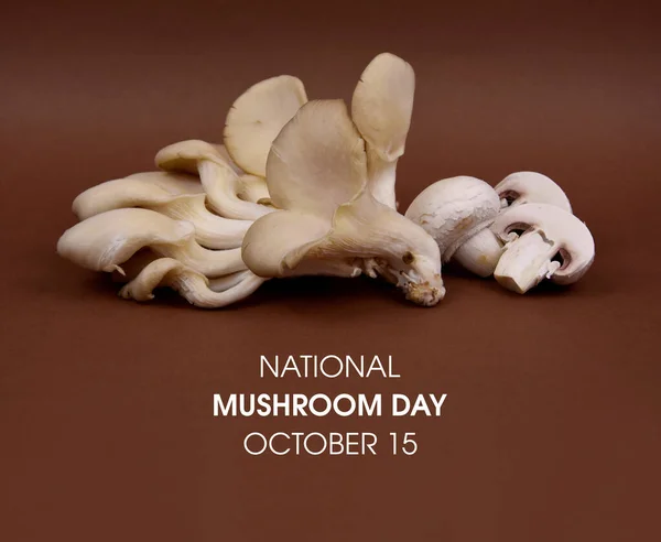 National Mushroom Day Stockbilder Ostron Svamp Och Vit Champignon Svamp — Stockfoto