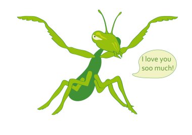Mantis sevgiyle yiyor.