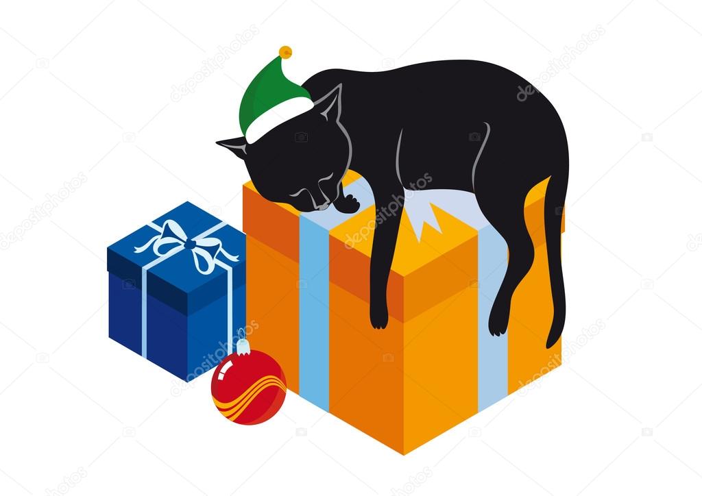 sleeping cat and gifts