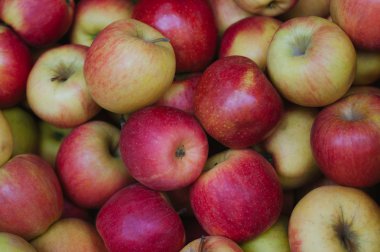 Olgun Kırmızı elma