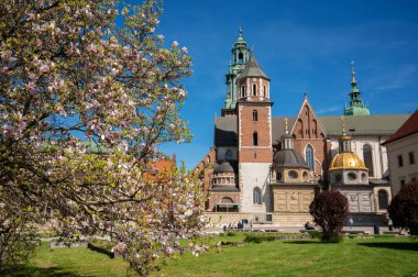 Krakow, Polonya - 9 Mayıs 2021. Aziz Stanislaus ve Wenceslaus 'un Wawel' deki Kraliyet Katedrali Bazilikası.