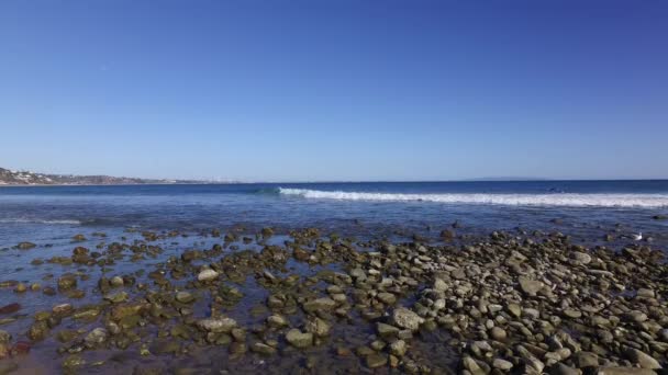 Low tide op het strand in Malibu. Meeuwen zitten op stenen — Stockvideo