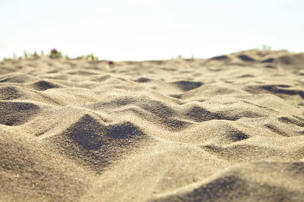 Małe wydmy przy plaży. — Zdjęcie stockowe