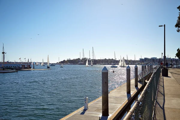 Marina Del Rey California başa Yelkenliler