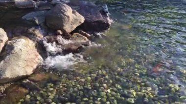 Derin ormanında Milli Parkı doğa şelale