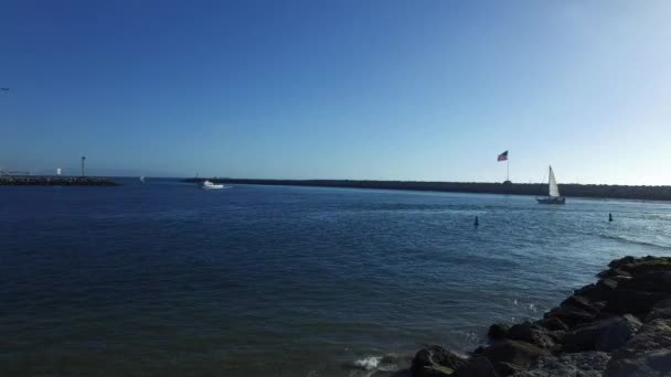 Segelbåtar i Marina del Rey, Kalifornien — Stockvideo