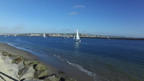 Segelbåtar i Marina del Rey, Kalifornien — Stockvideo