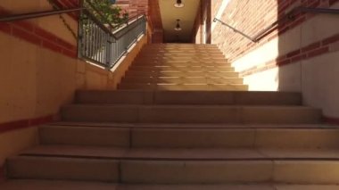 Parkta yol boyunca fotoğraf makinesinin düzgün hareket